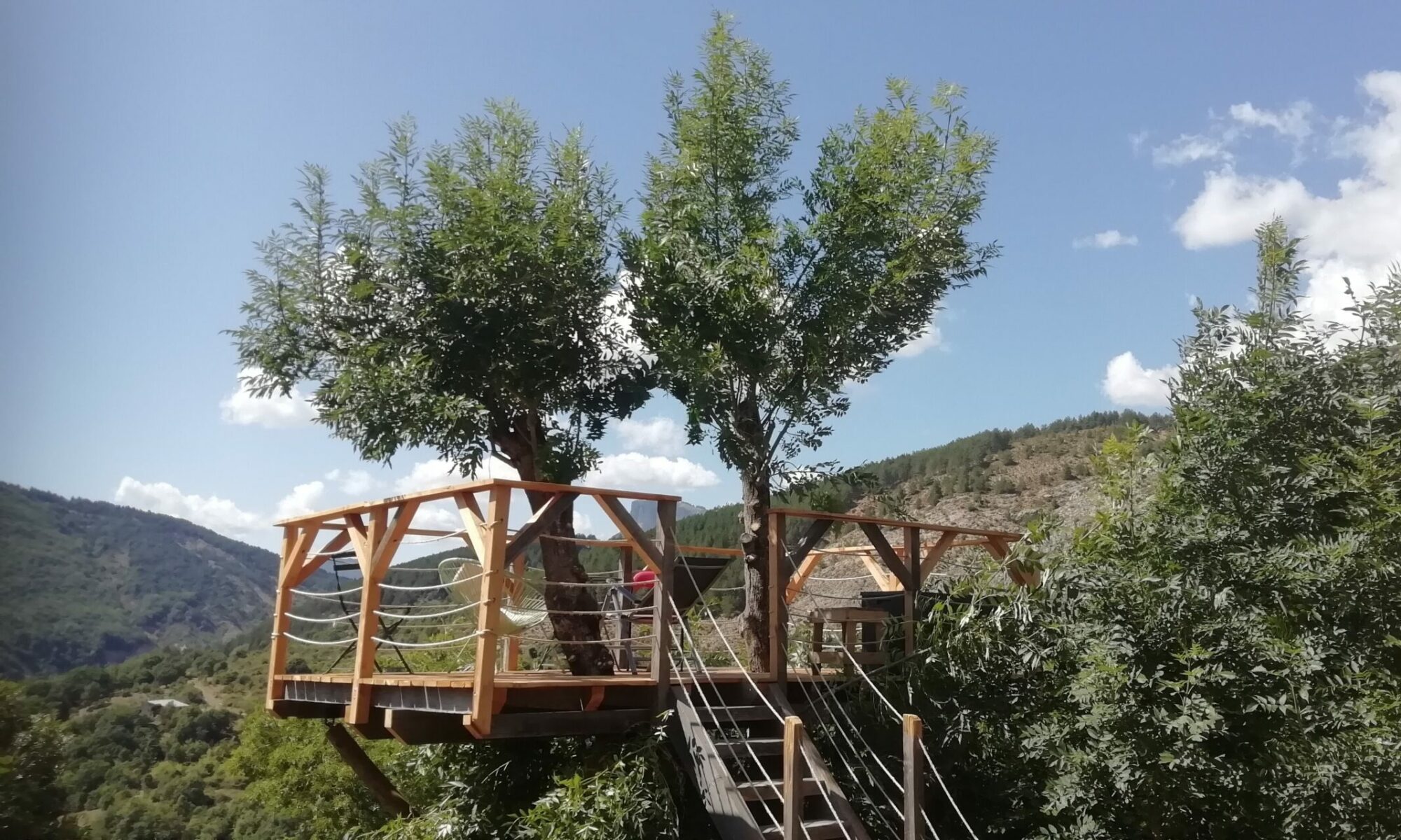 Terrasse en bois autour d'un arbre